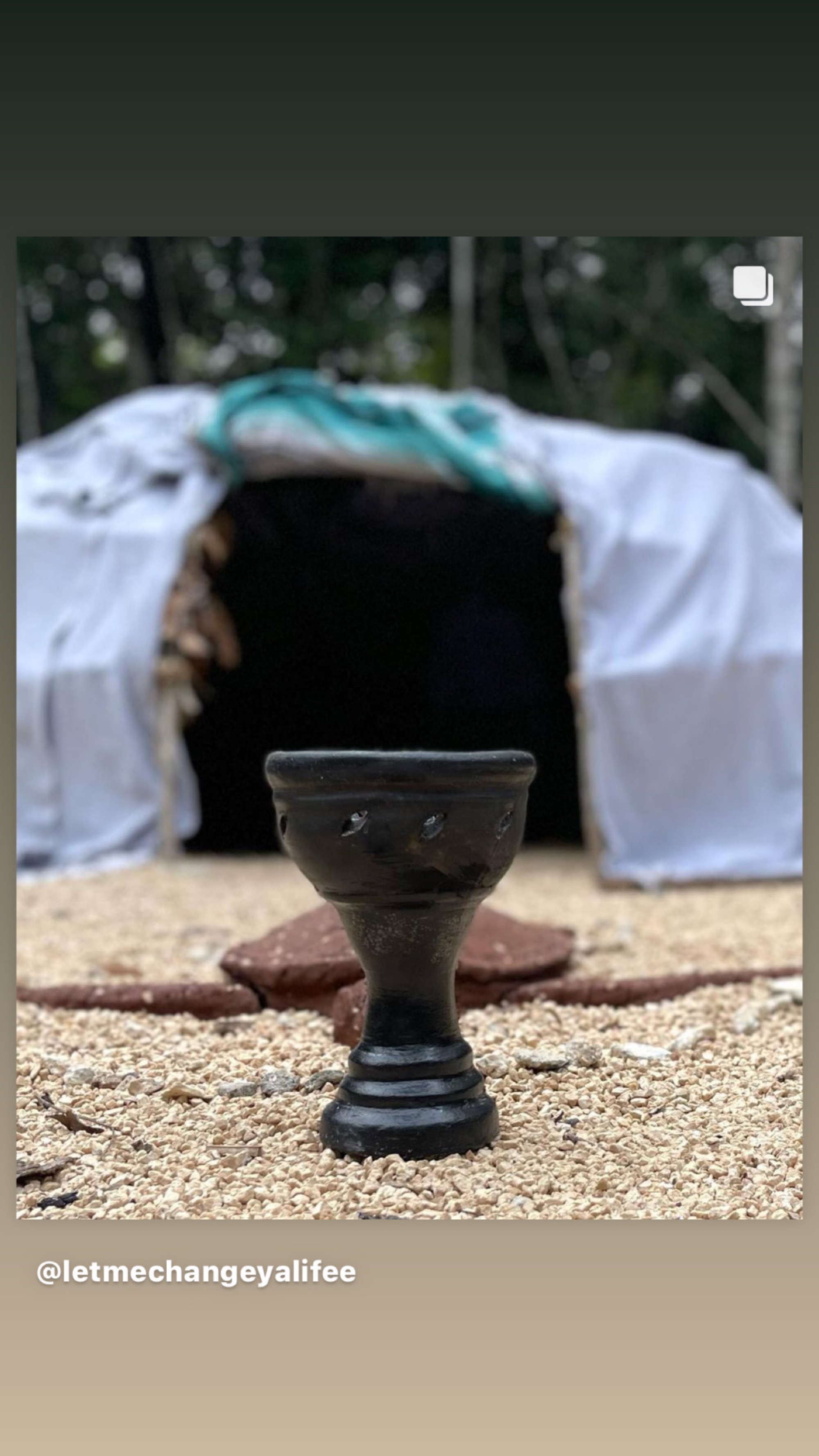 Plant Wisdom Ceremony at Casa Arkaana