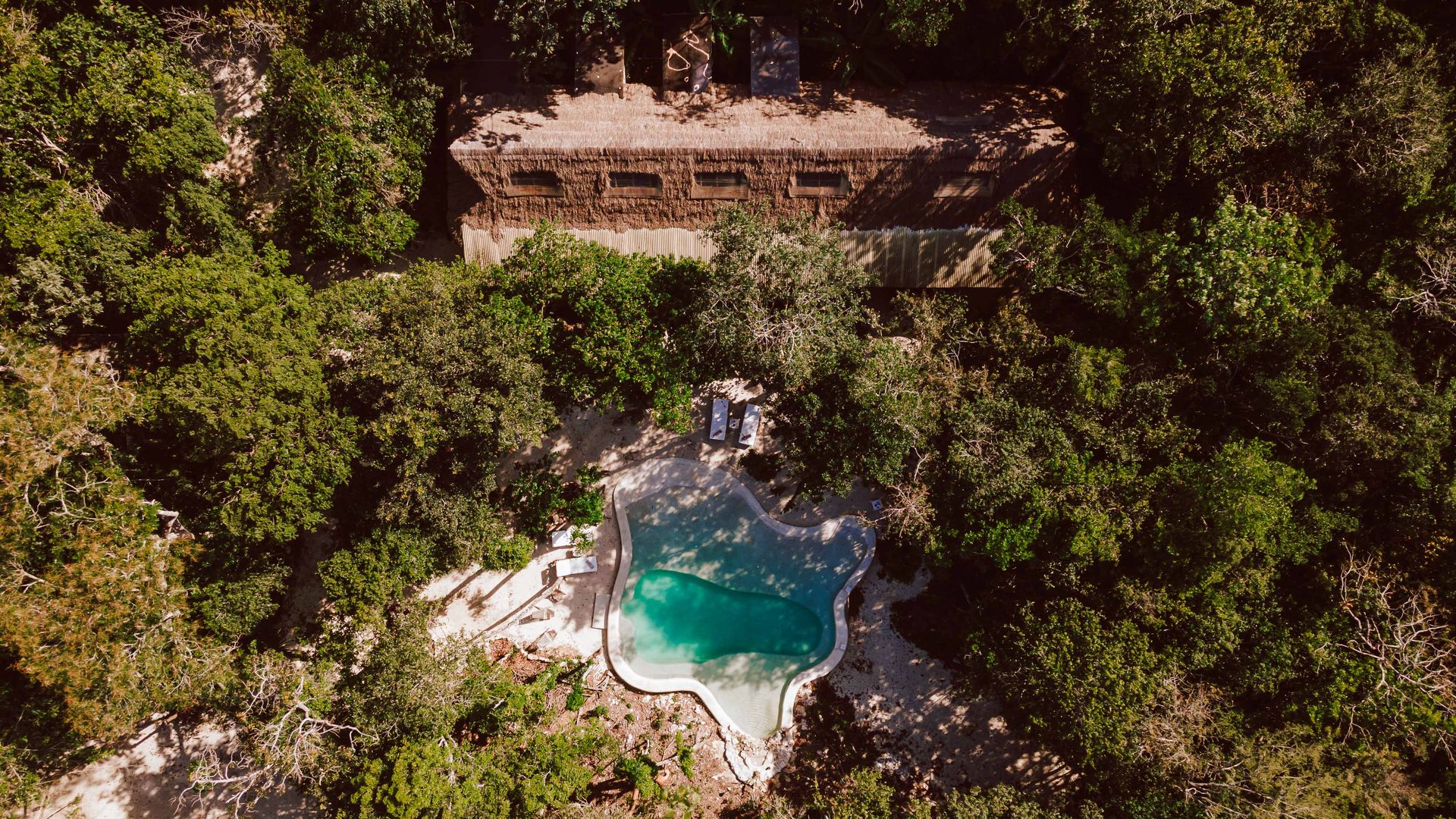 Aerial view of Casa Arkaana veranda and jungle